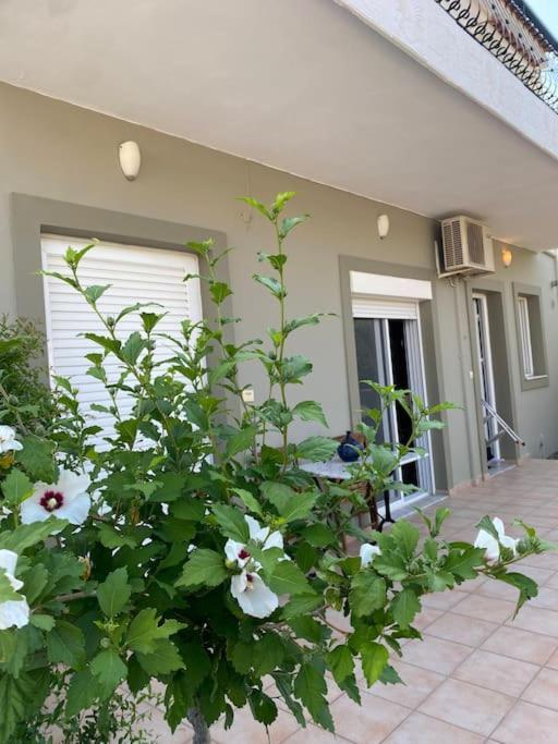 Apartment Ilisia Neapoli 1 *